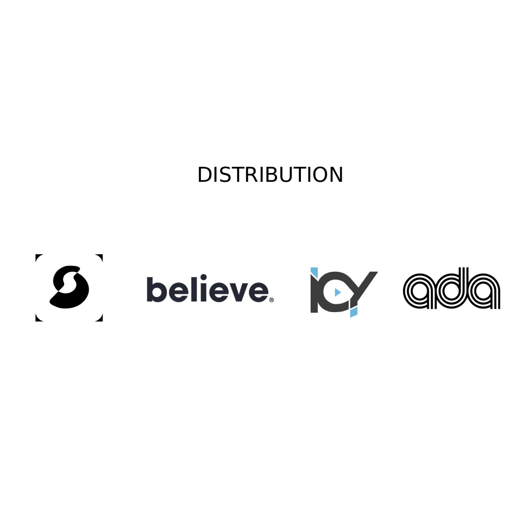 05 / DISTRIBUZIONE