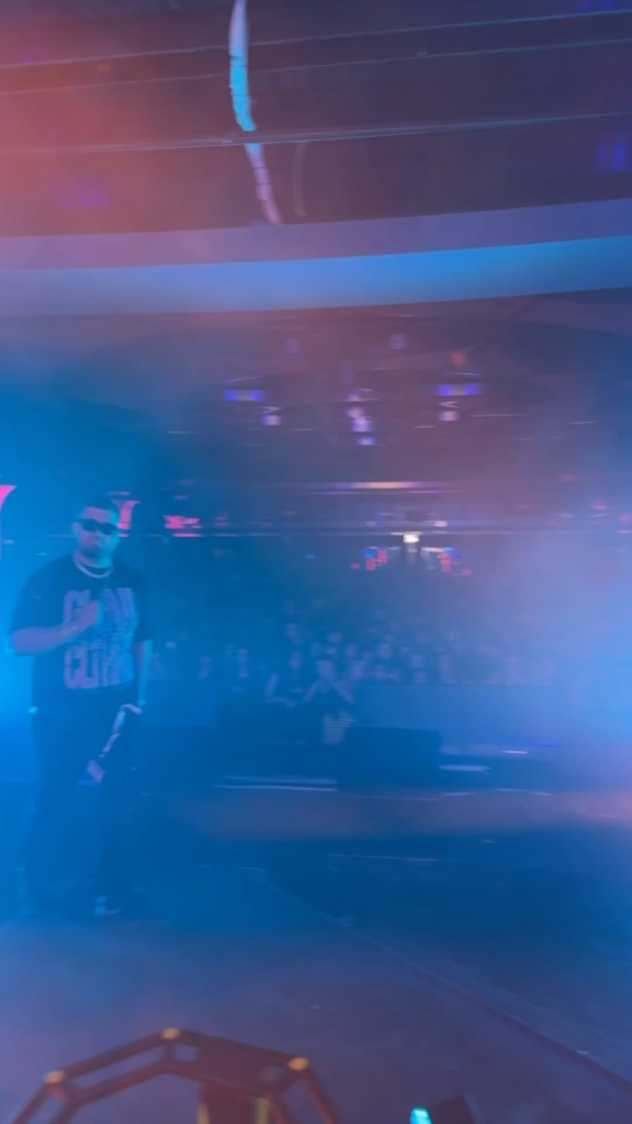 Live performance sul palco